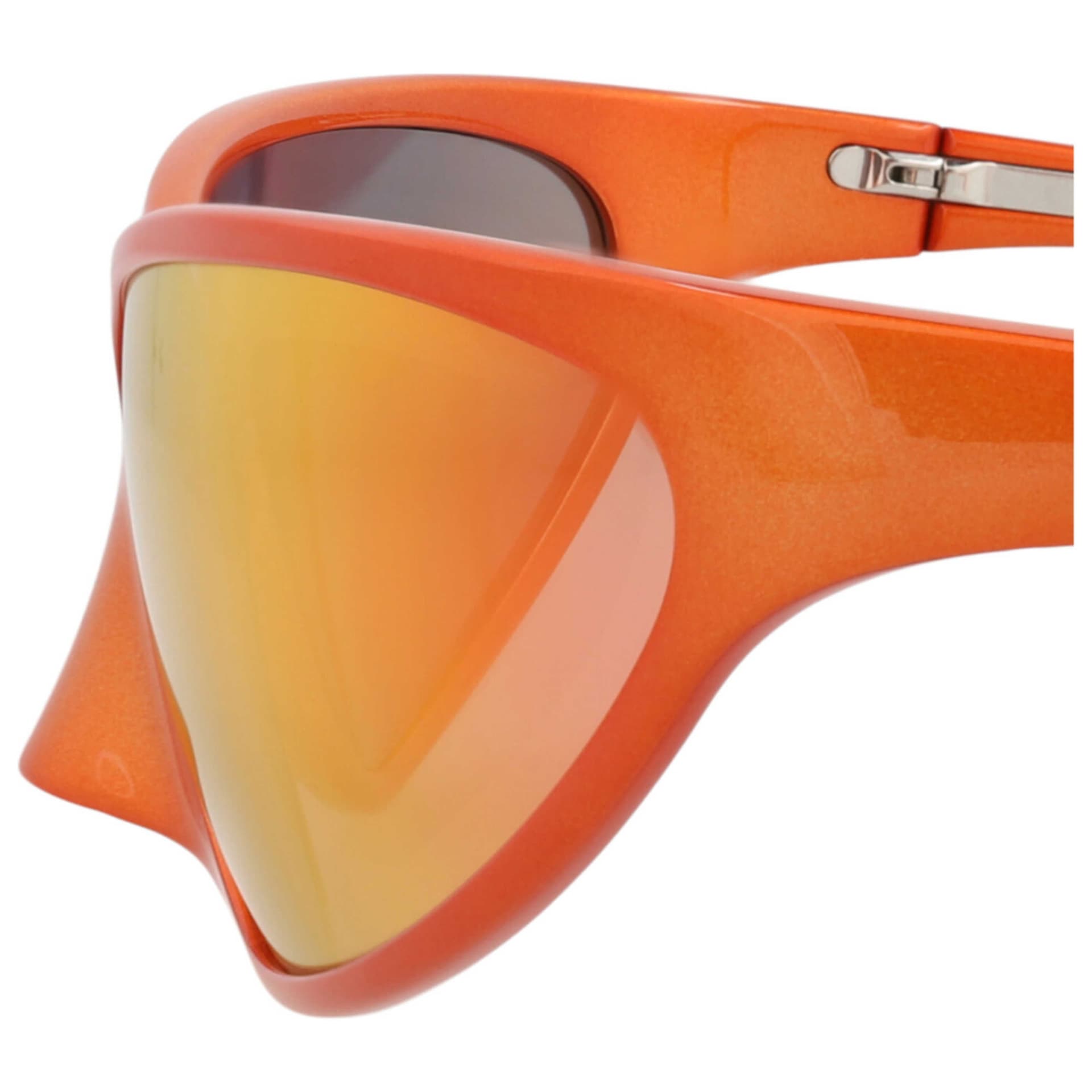 Balenciaga Unisex Sunglasses BB0349S-30015539-004 2