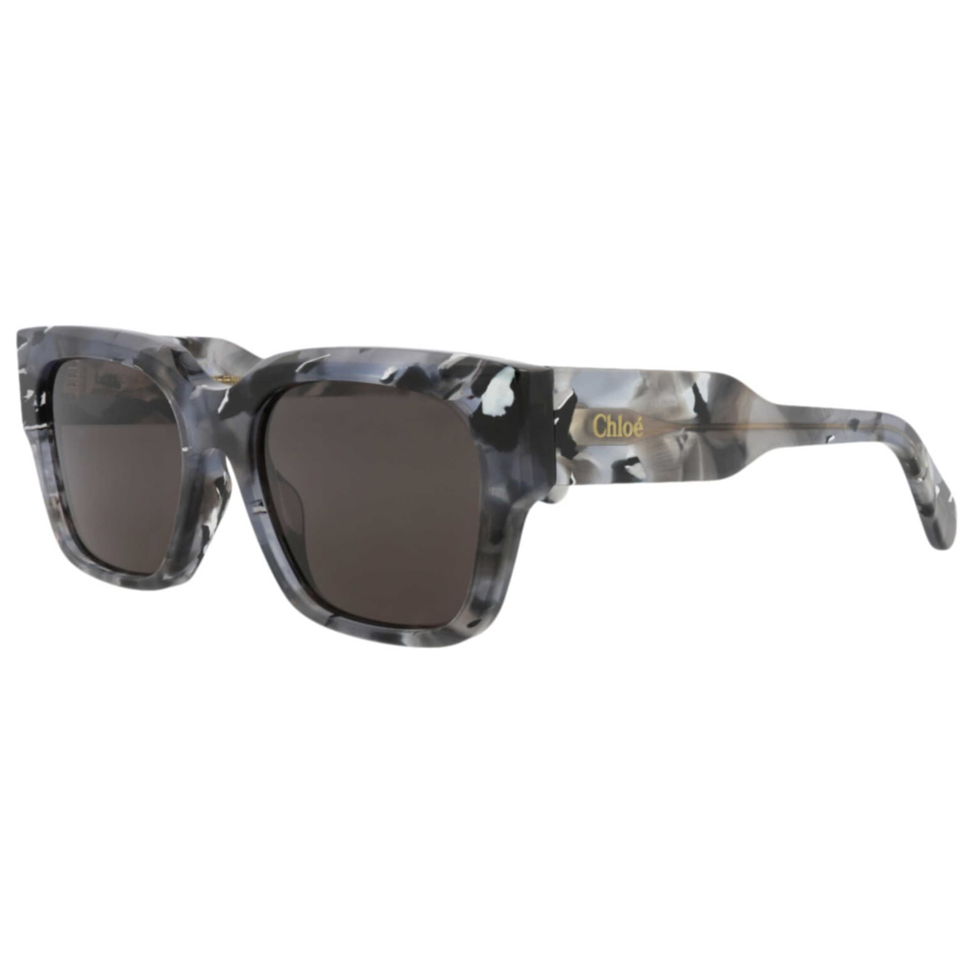 Chloe Women's Sunglasses CH0190S-30014666-013