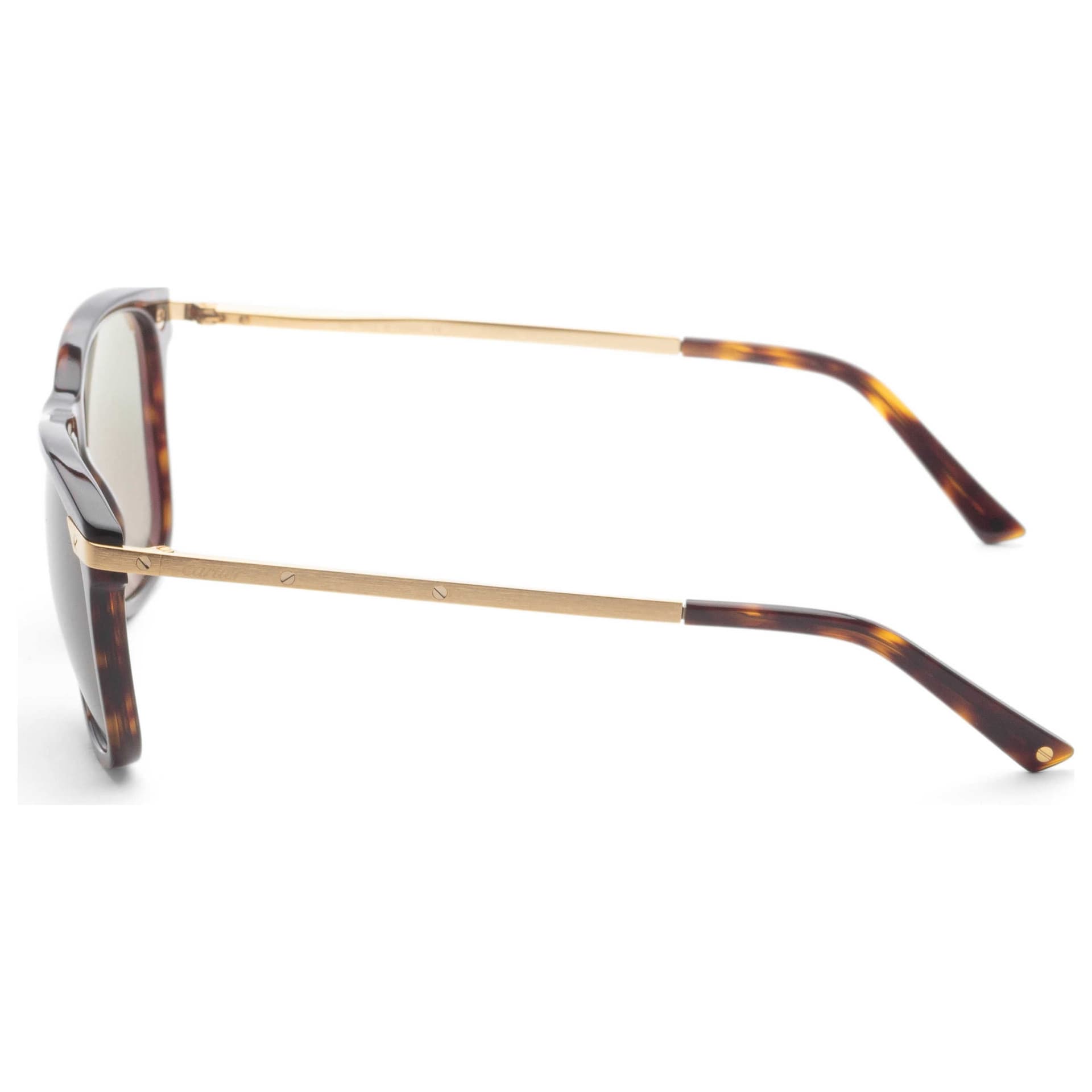 Cartier Unisex Sunglasses CT0104S-002 2