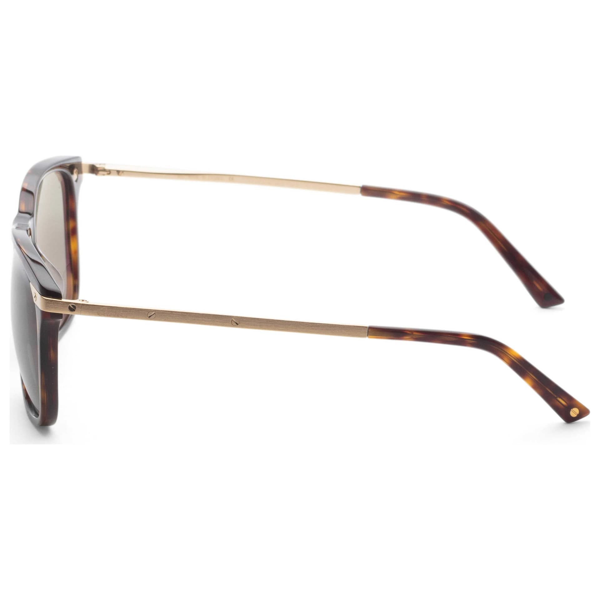 Cartier Unisex Sunglasses CT0104SA-002 2
