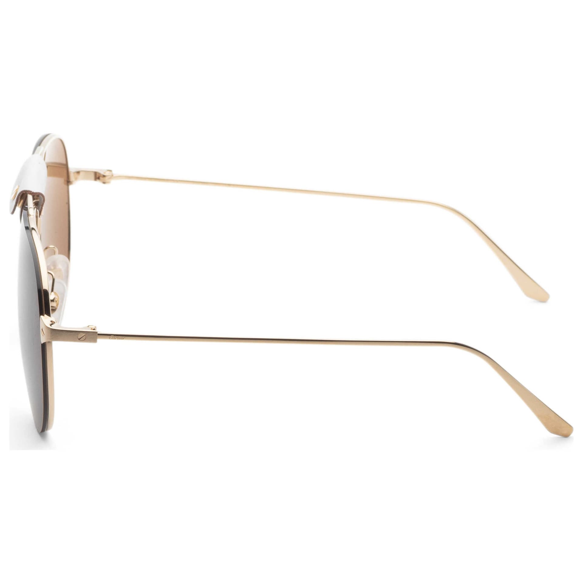 Cartier Unisex Sunglasses CT0166S-010 2