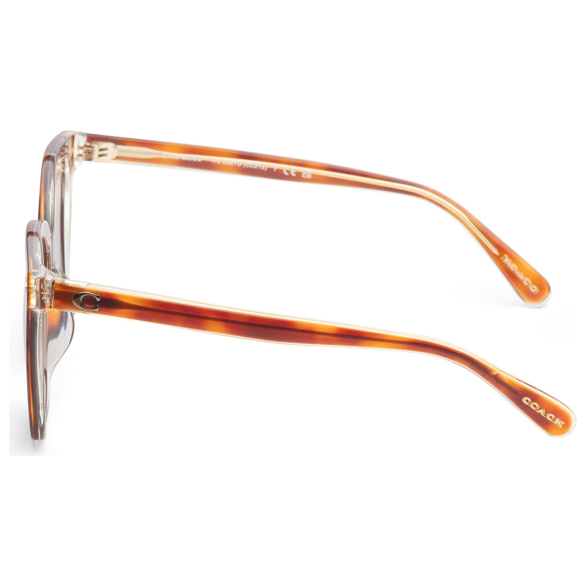 Coach Women's Sunglasses HC8381U-57563J-54 2