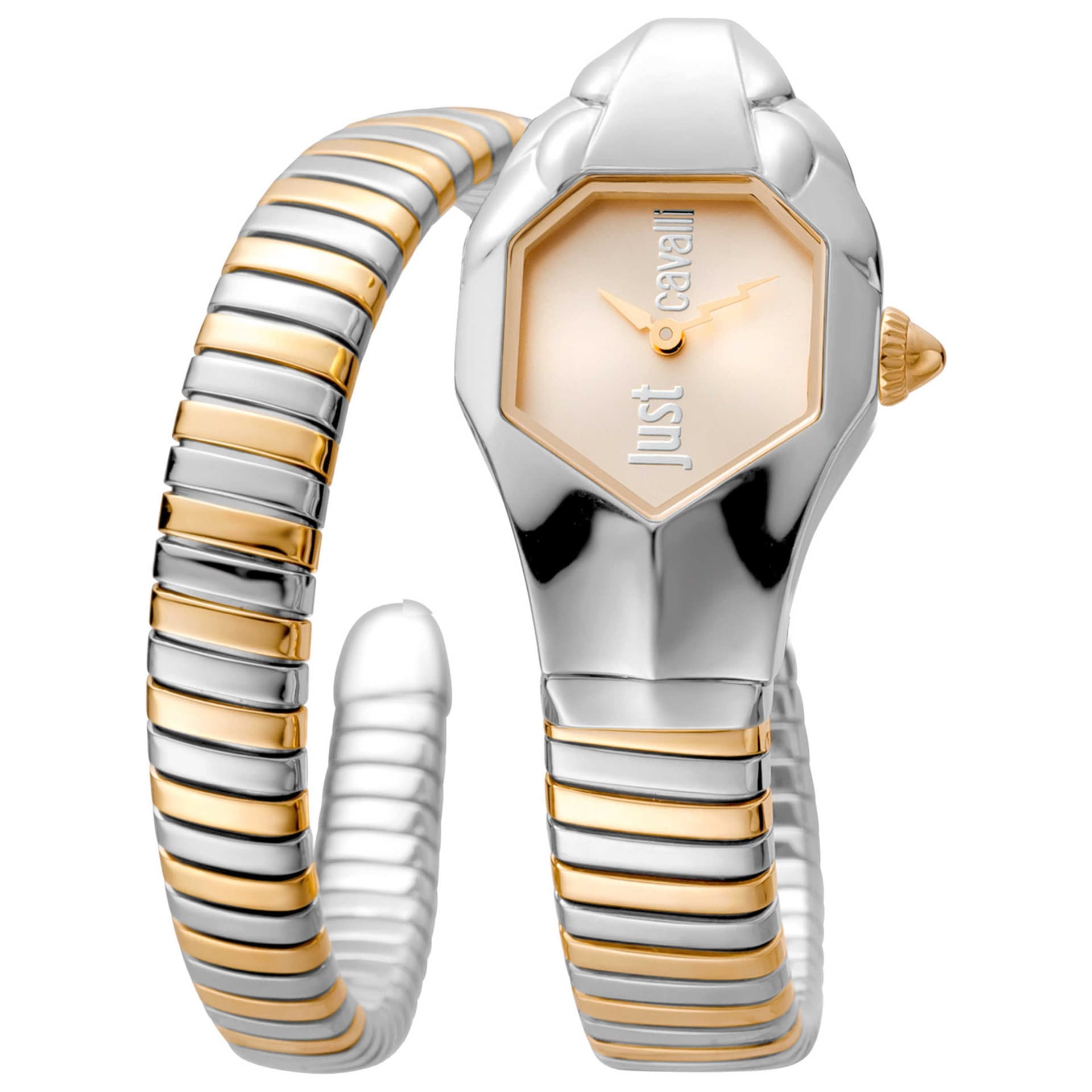 Just Cavalli Glam DNA Women's Watch JC1L001M0035