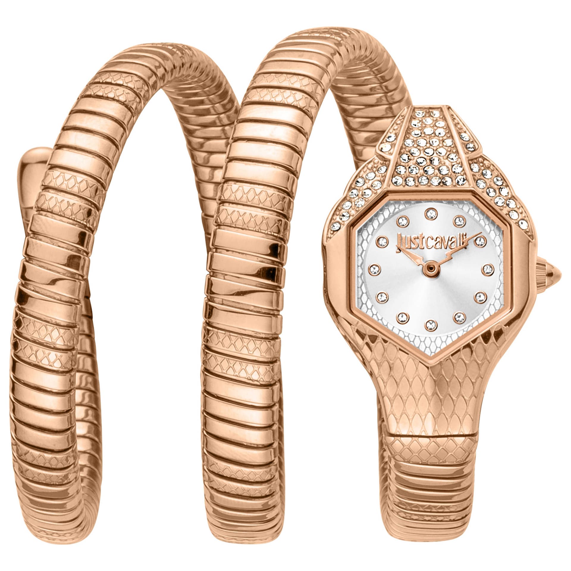 Just Cavalli Women's Watch JC1L193M0075