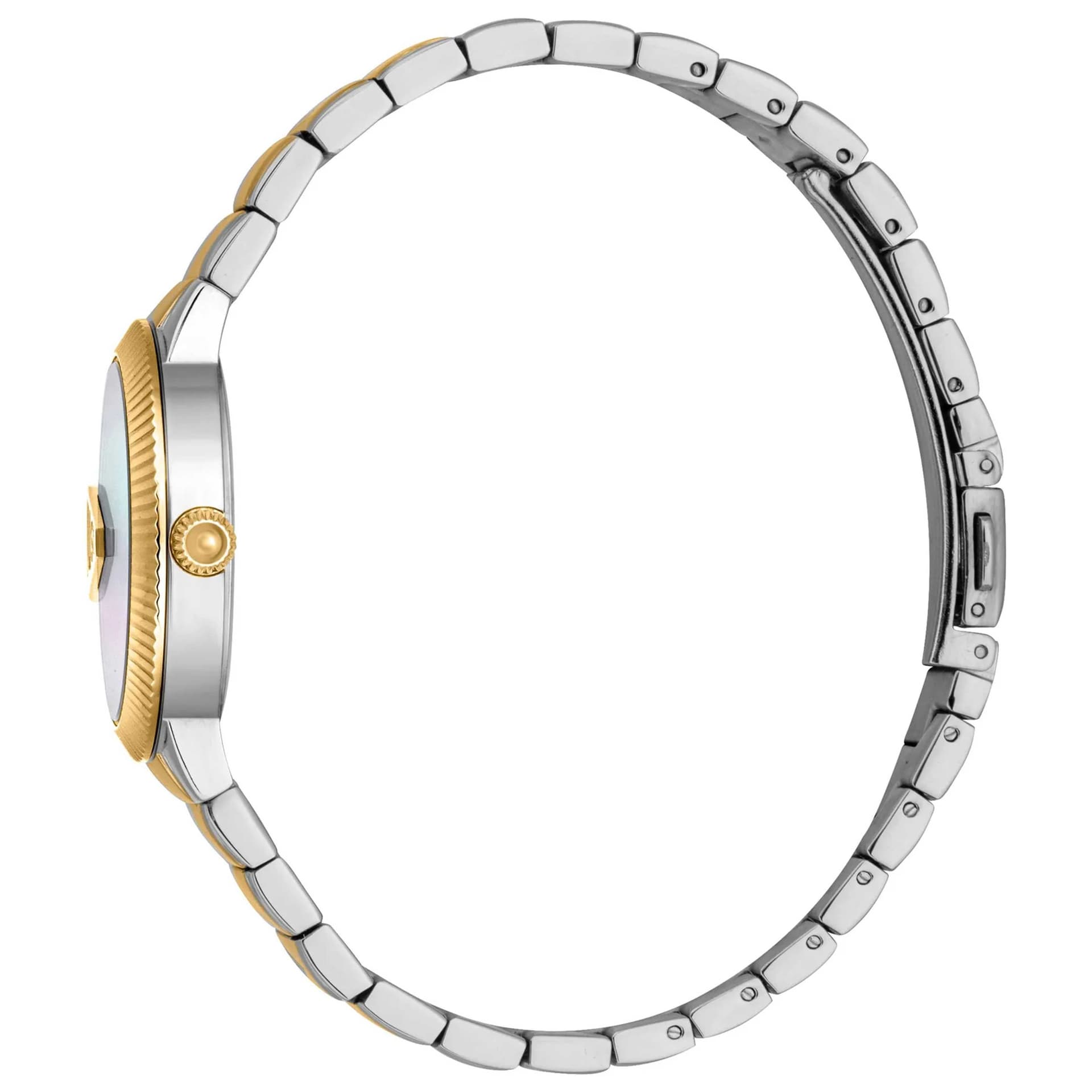 Just Cavalli Puntale Women's Watch JC1L256M0095 3