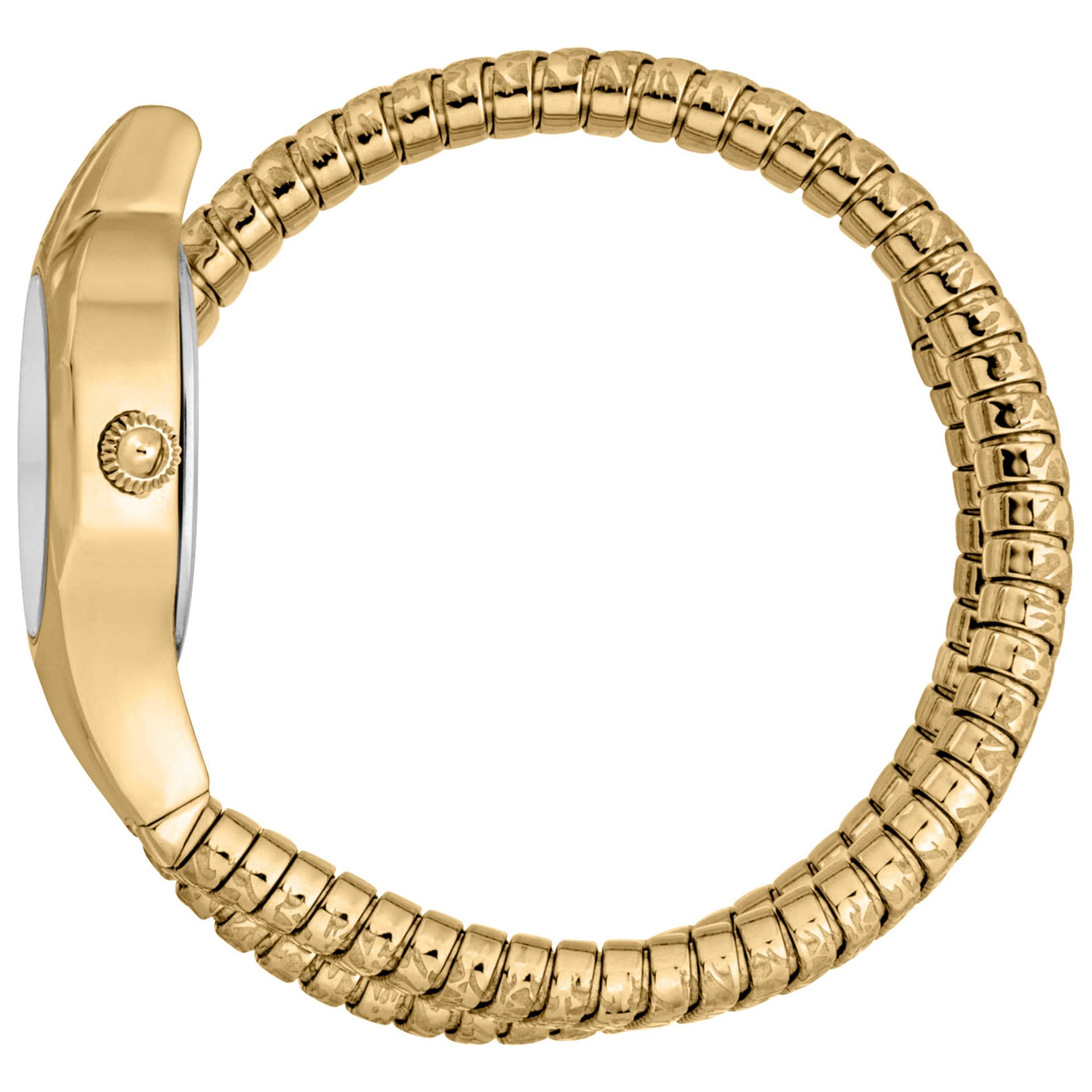 Just Cavalli Amalfi Women's Watch JC1L270M0025 3