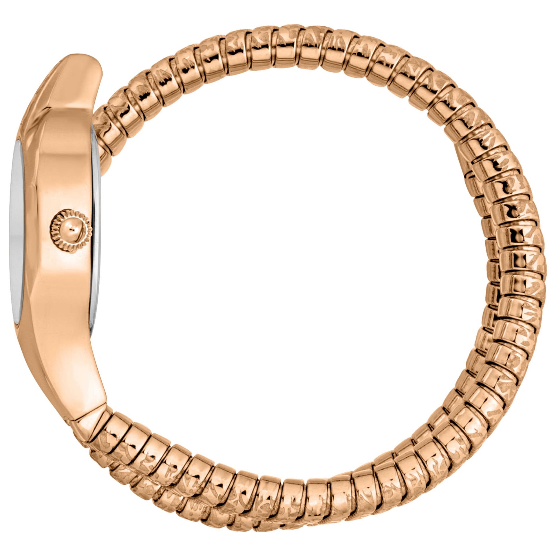 Just Cavalli Women's Watch JC1L270M0045 3