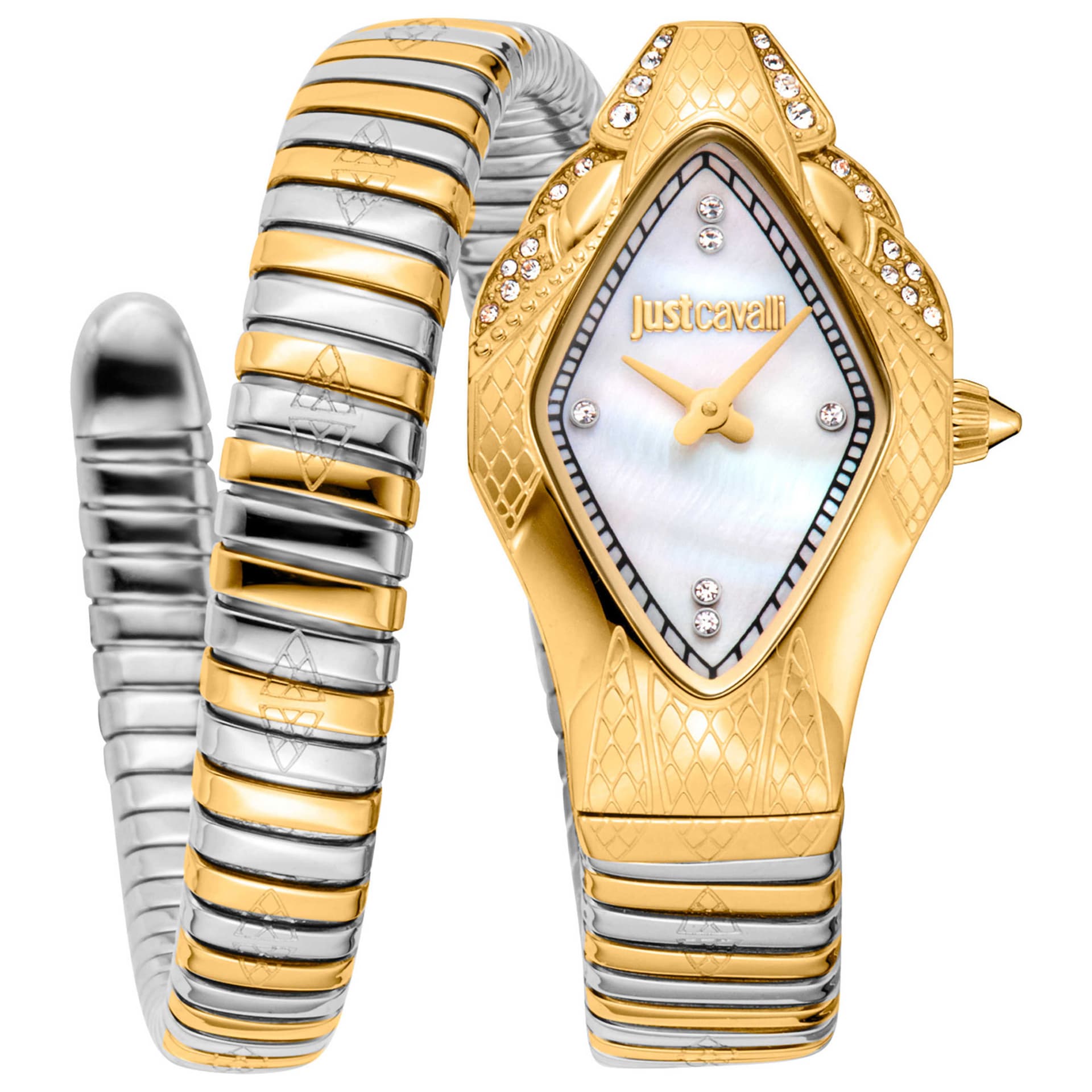 Just Cavalli Ferocious Women's Watch JC1L306M0065