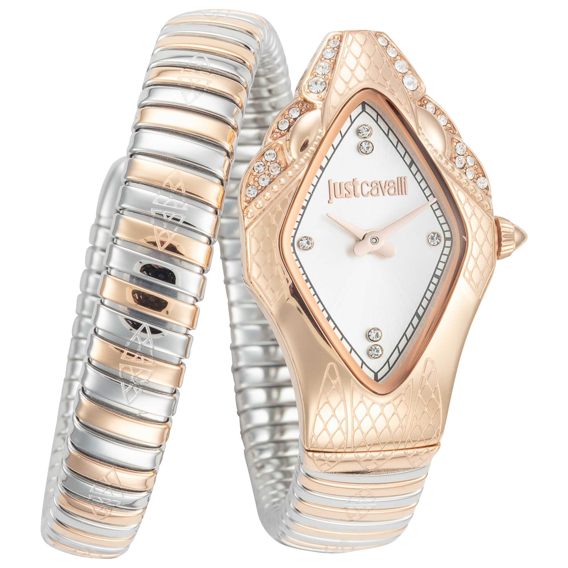 Just Cavalli Ferocious Women's Watch JC1L306M0075