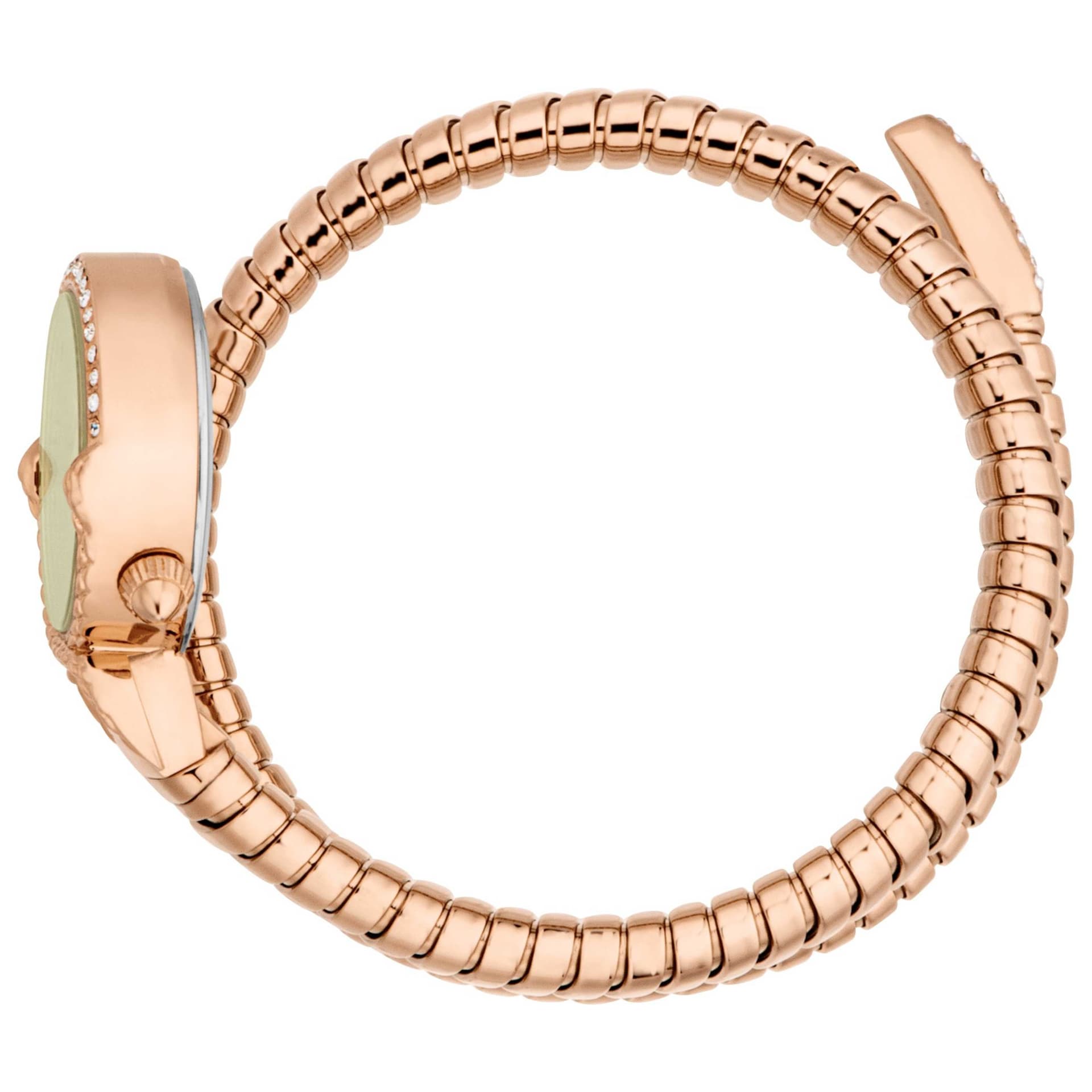 Just Cavalli Women's Watch JC1L350M0045 3