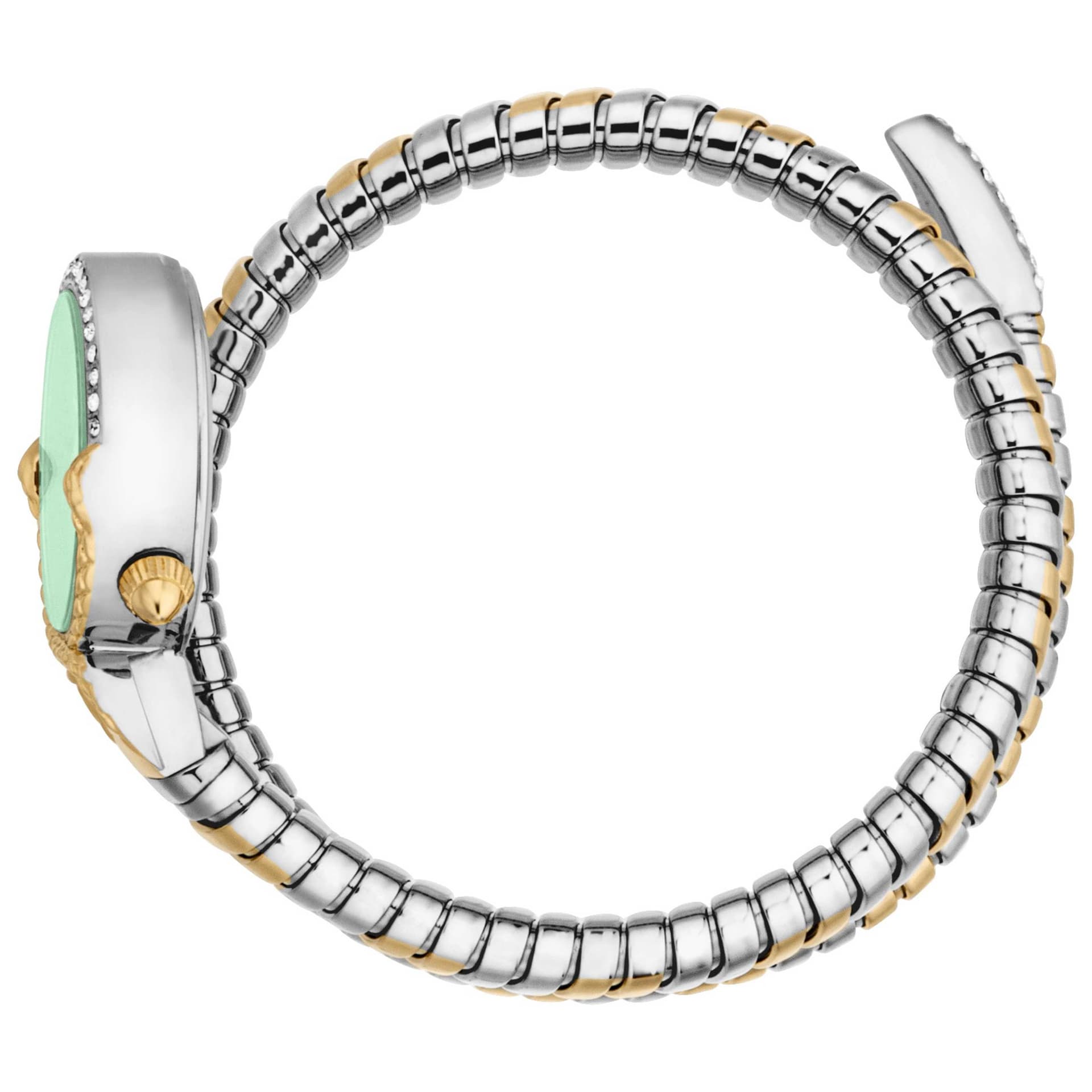 Just Cavalli Women's Watch JC1L350M0065 3