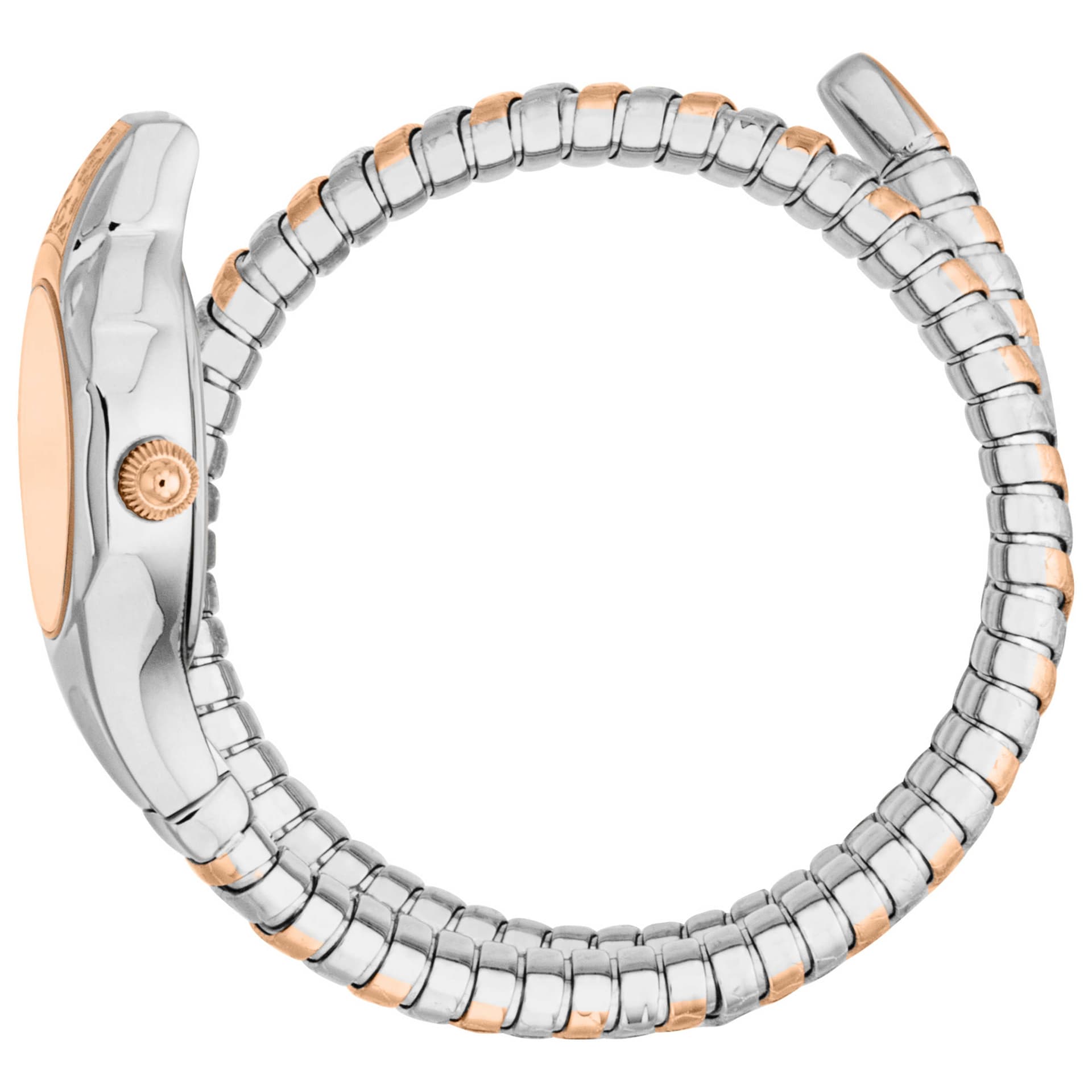 Just Cavalli Women's Watch JC1L354M0065 3