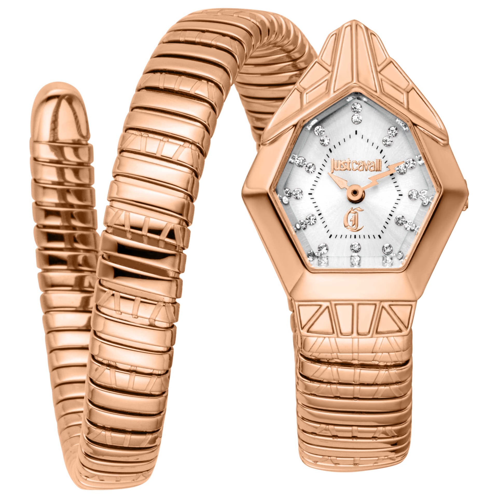 Just Cavalli Women's Watch JC1L358M0045