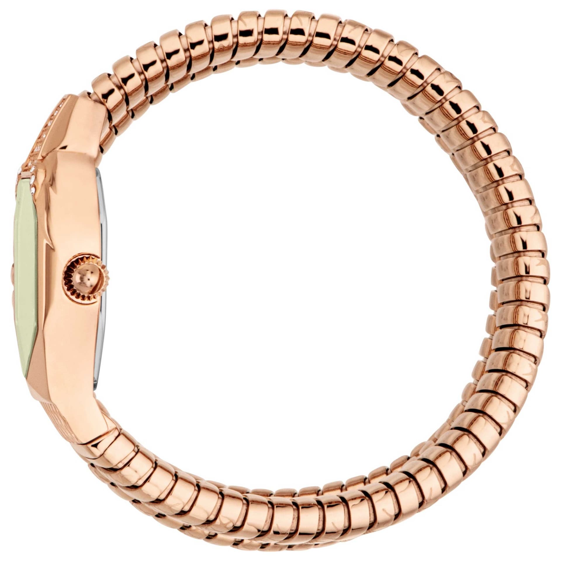 Just Cavalli Snake Women's Watch JC1L370M0045 3