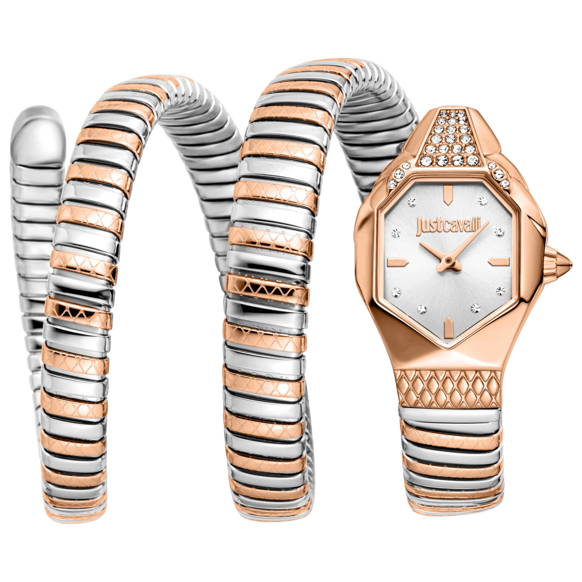 Just Cavalli Women's Watch JC1L370M0065