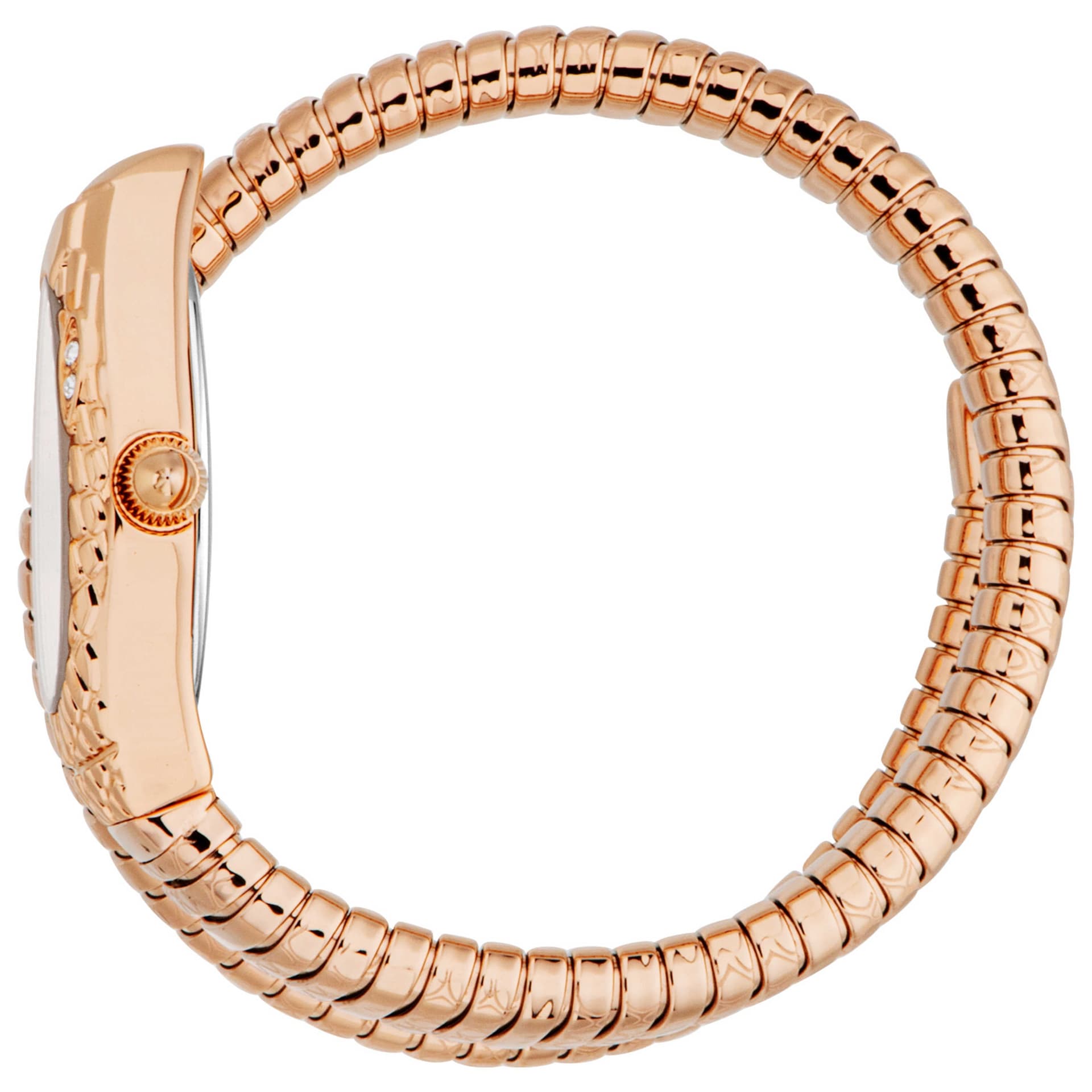 Just Cavalli Women's Watch JC1L373M1045 3