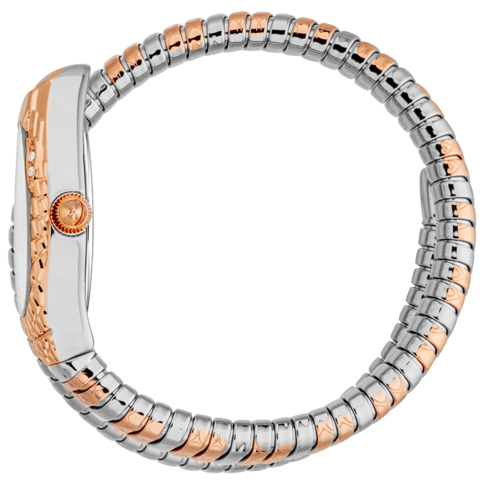 Just Cavalli Women's Watch JC1L373M1065 3