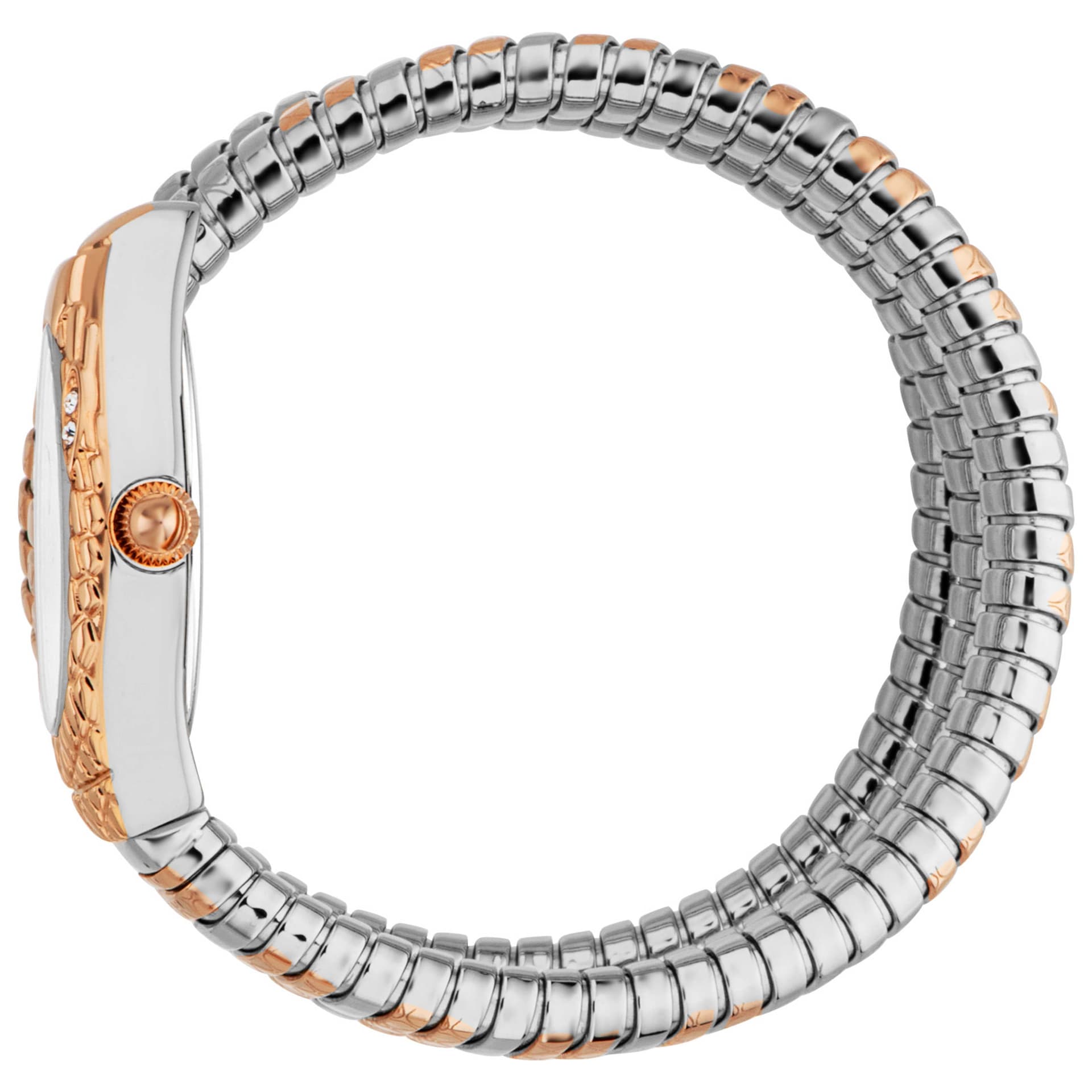 Just Cavalli Women's Watch JC1L374M1065 3
