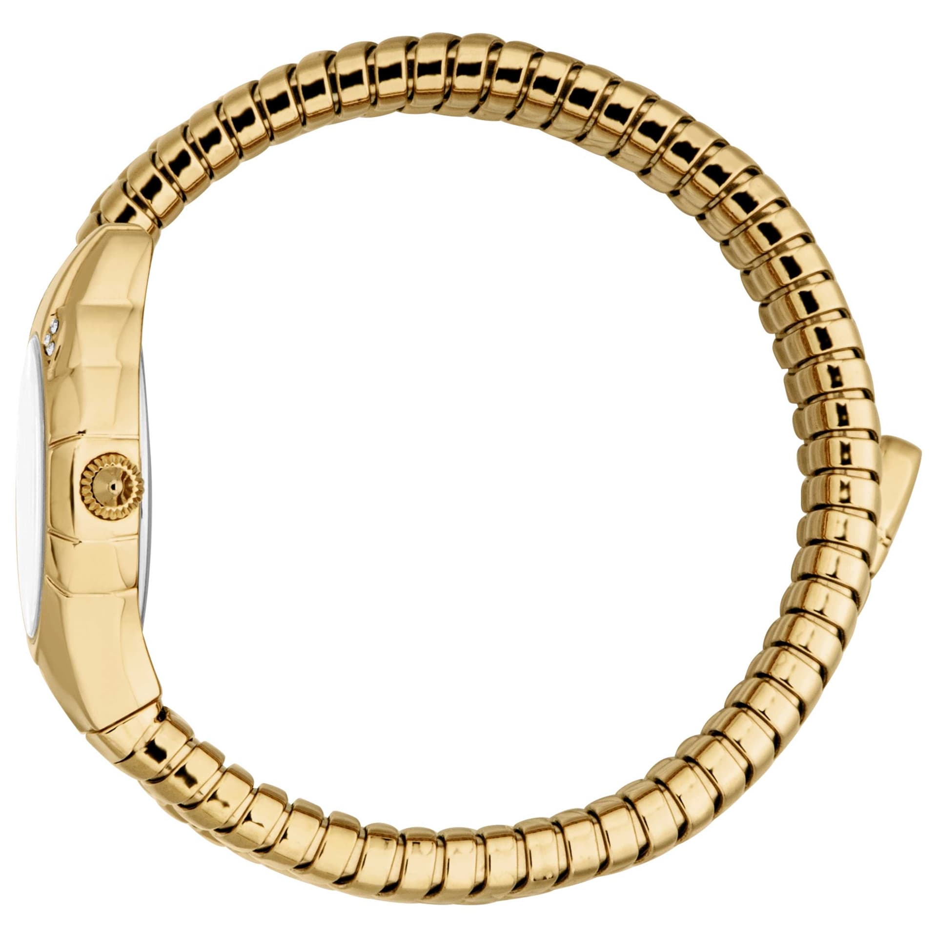 Just Cavalli Women's Watch JC1L393M0025 3