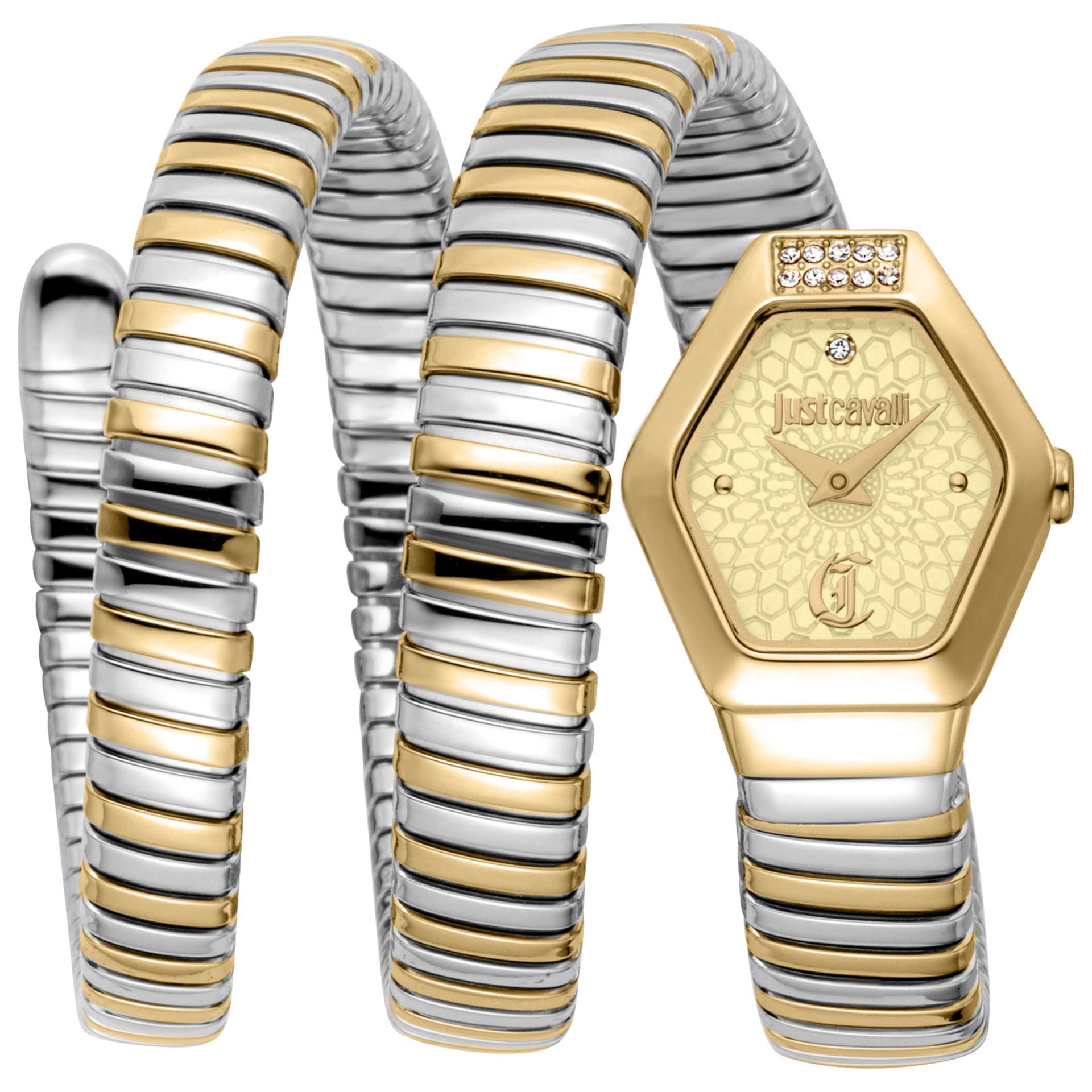 Just Cavalli Women's Watch JC1L395M0055