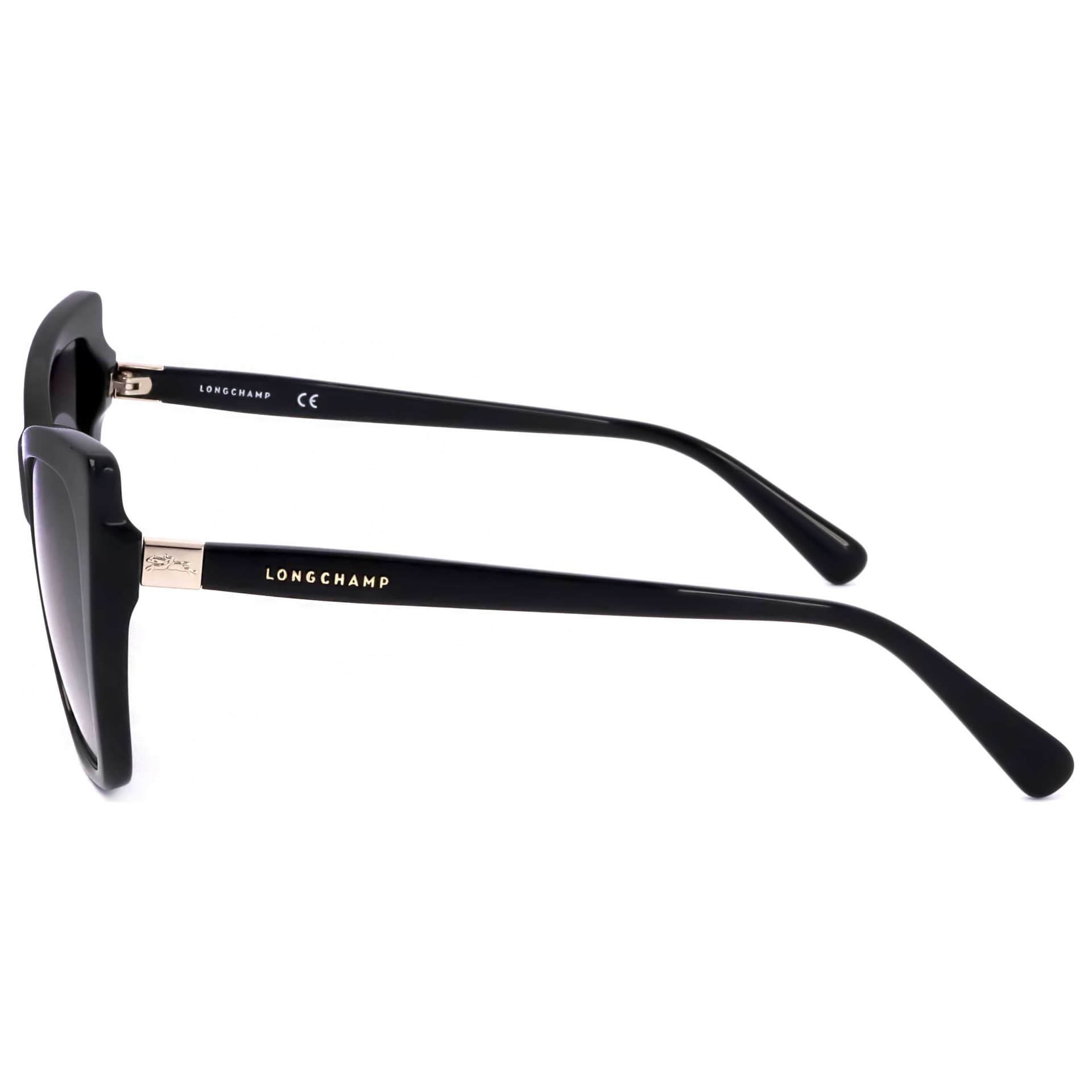 Longchamp Women's Sunglasses LO669S-001 2