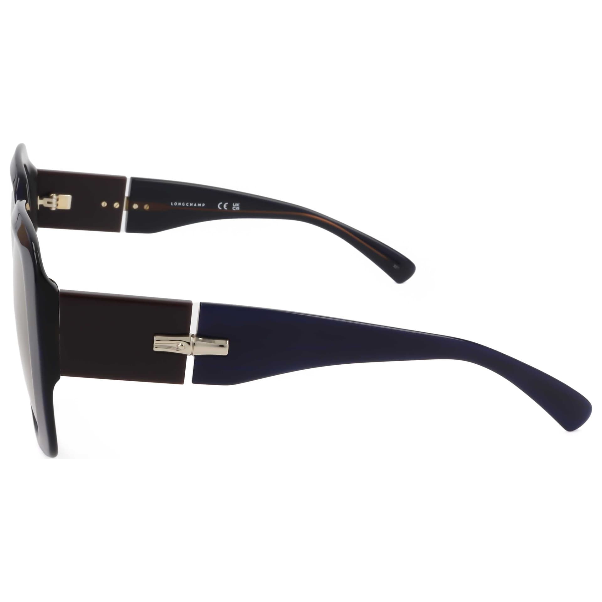 Longchamp Women's Sunglasses LO713S-403 2