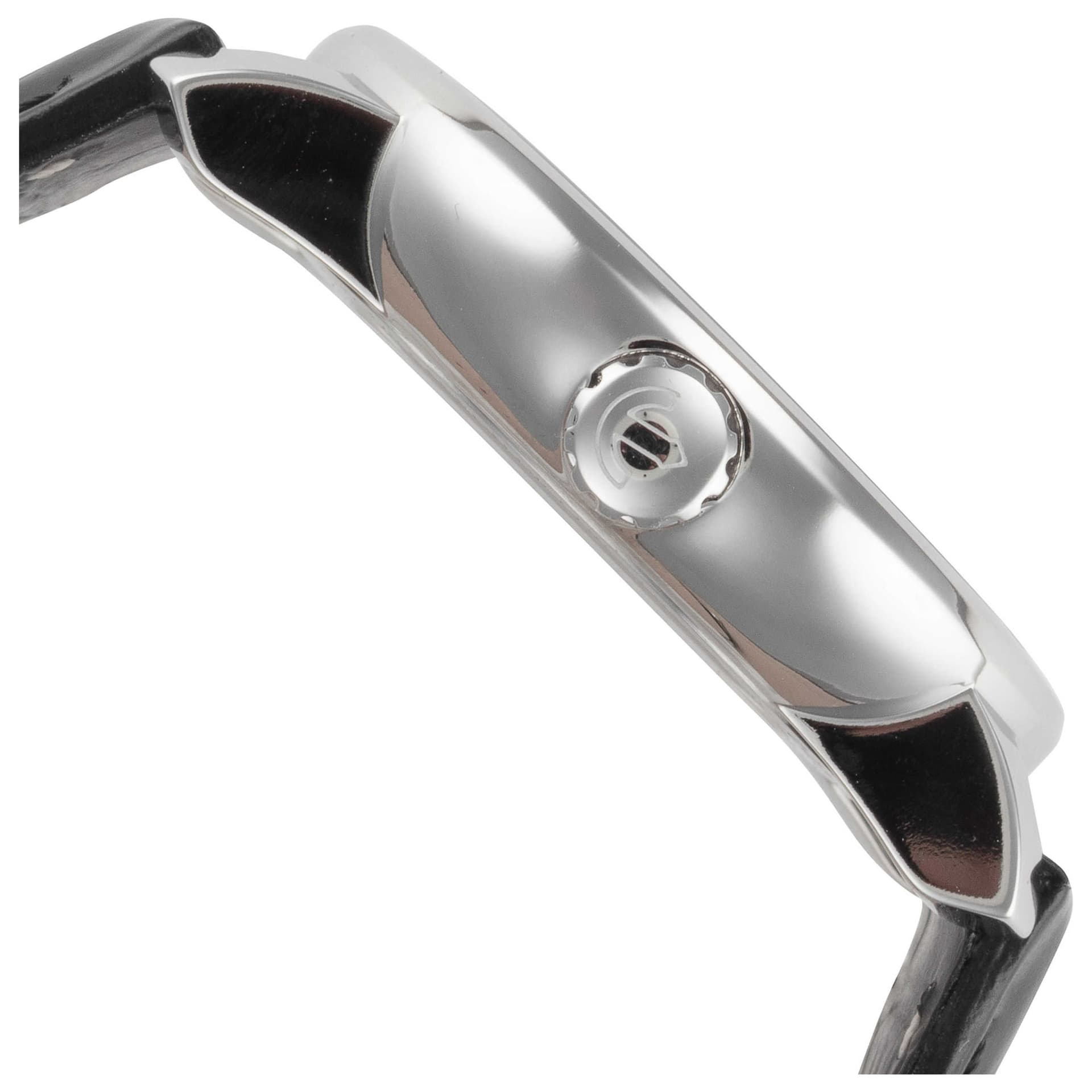 Rado DiaMaster Men's Watch R14077105 3