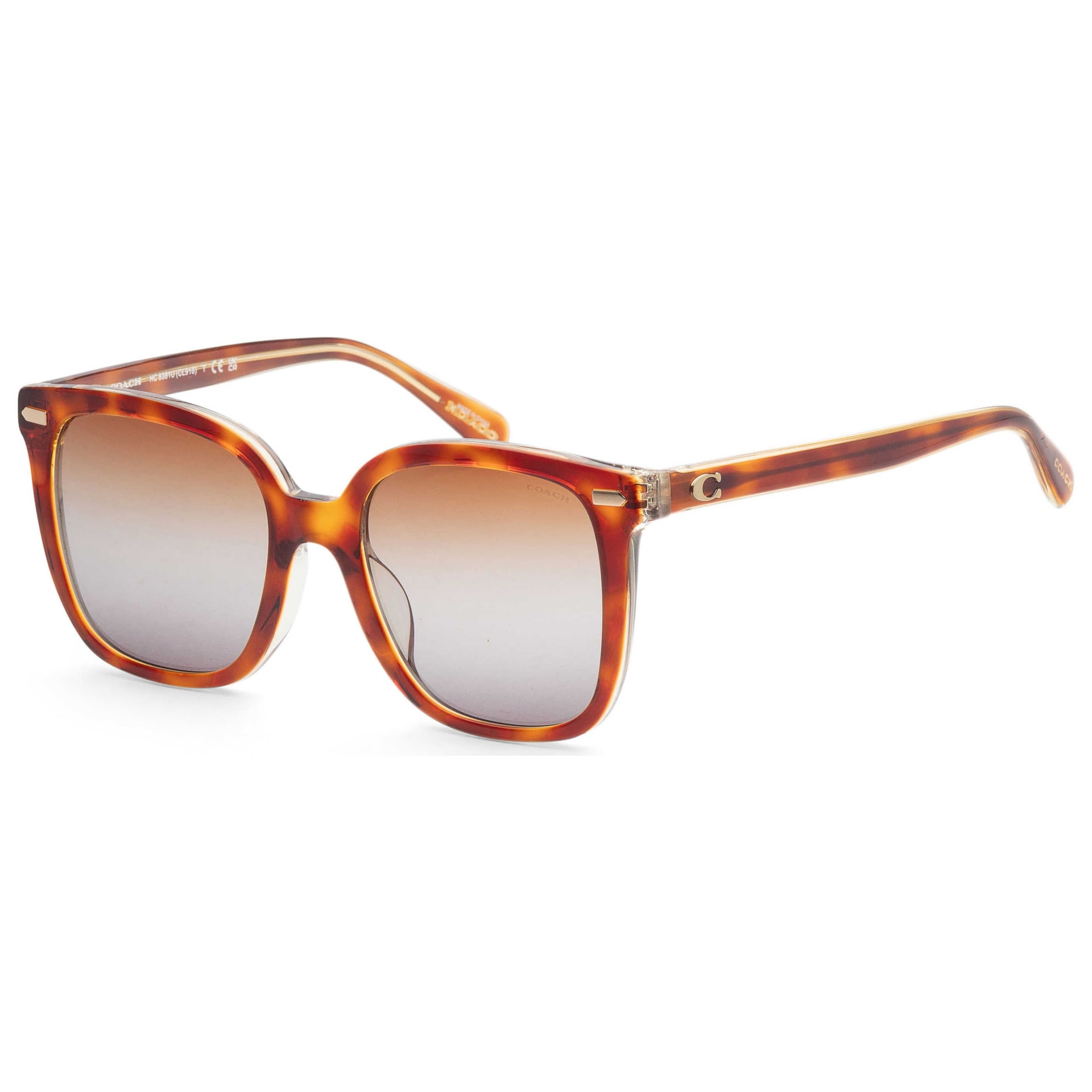 Coach Women's Sunglasses HC8381U-57563J-54