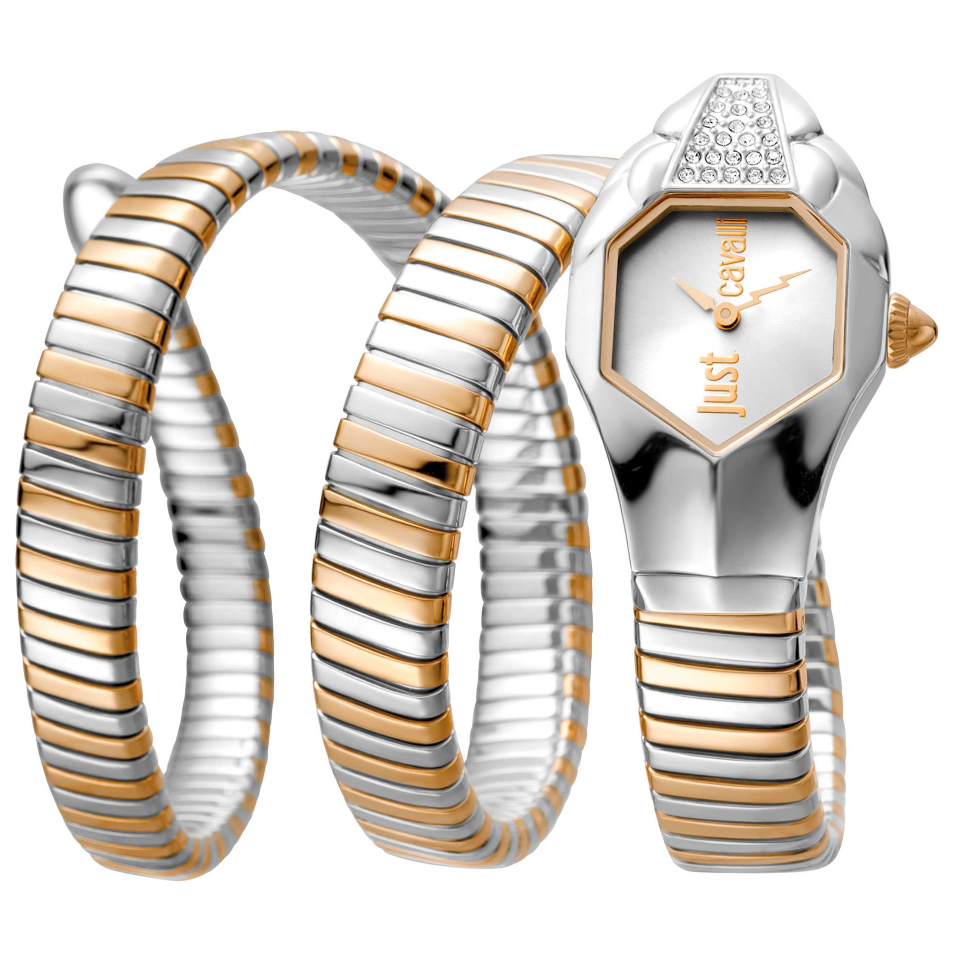 Just Cavalli Women's Watch JC1L022M0075
