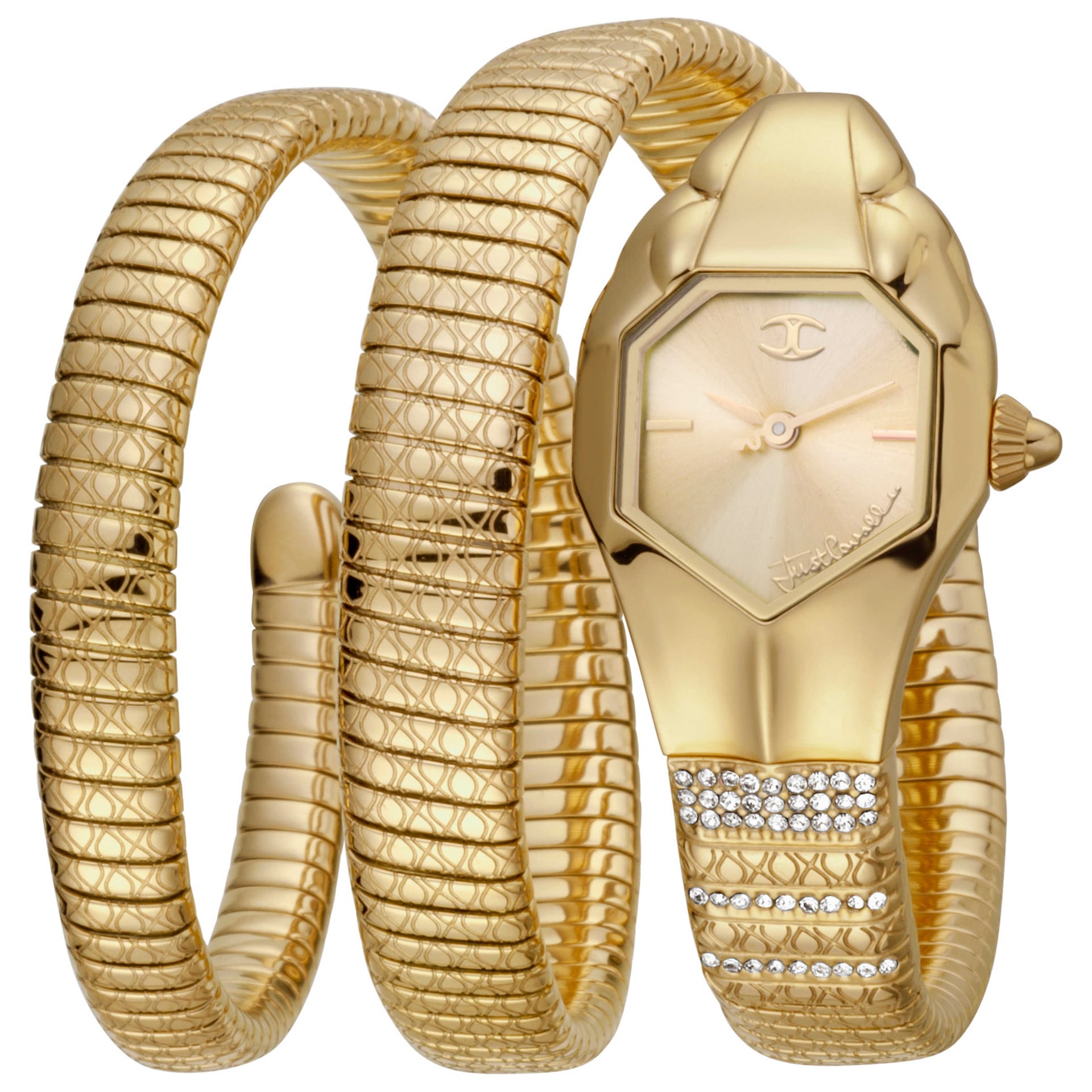 Just Cavalli Women's Watch JC1L112M0025
