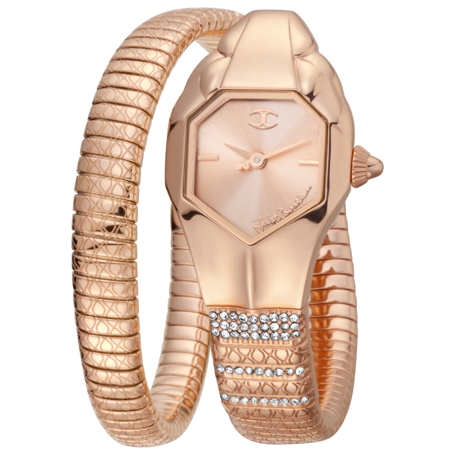 Just Cavalli Women's Watch JC1L113M0035