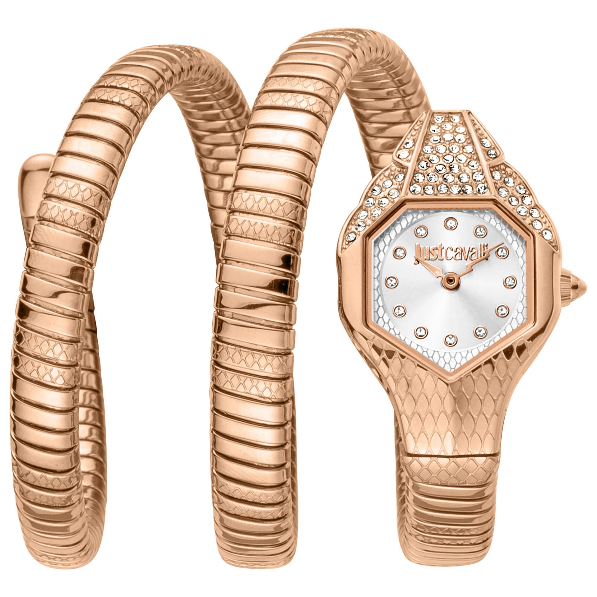 Just Cavalli Women's Watch JC1L193M0075