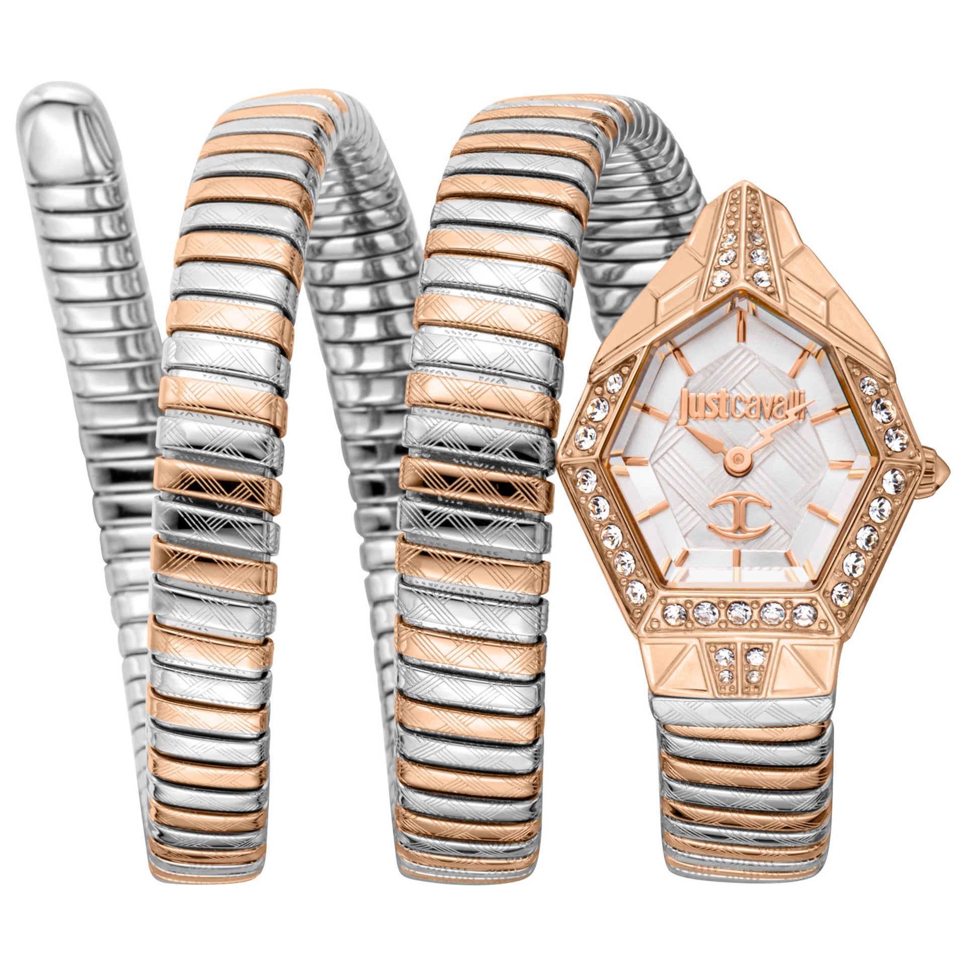 Just Cavalli Women's Watch JC1L304M0075