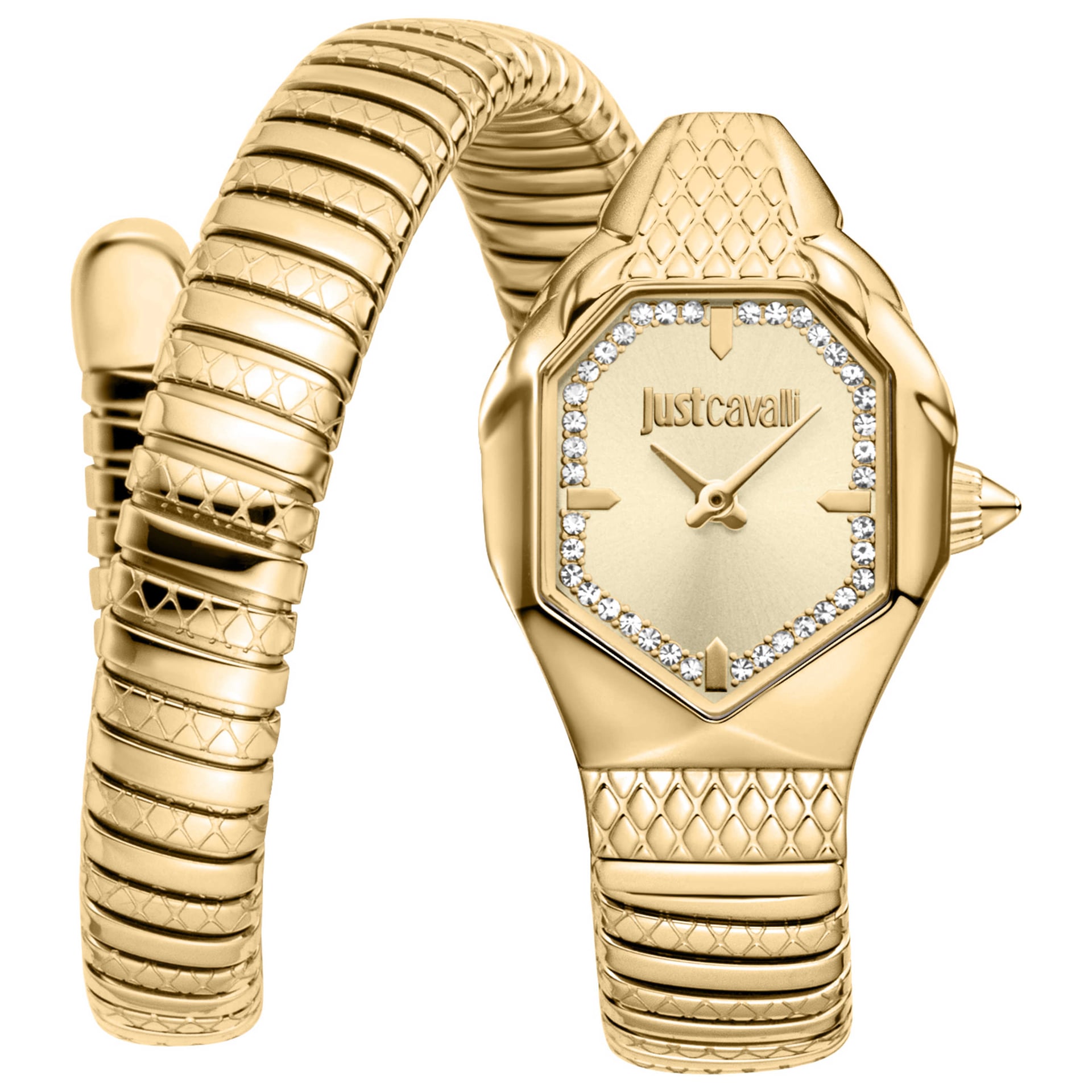 Just Cavalli Women's Watch JC1L369M0045
