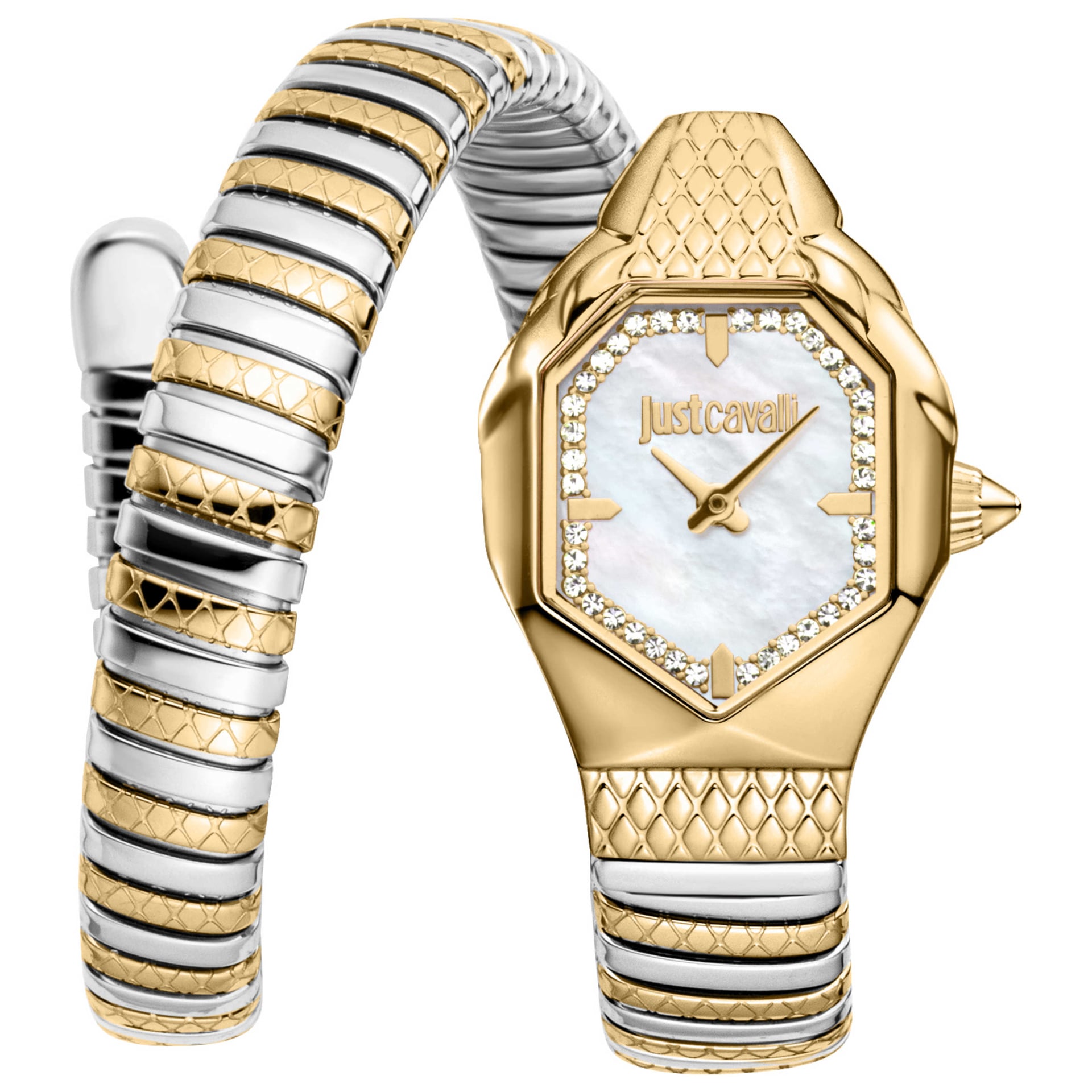 Just Cavalli Women's Watch JC1L369M0065
