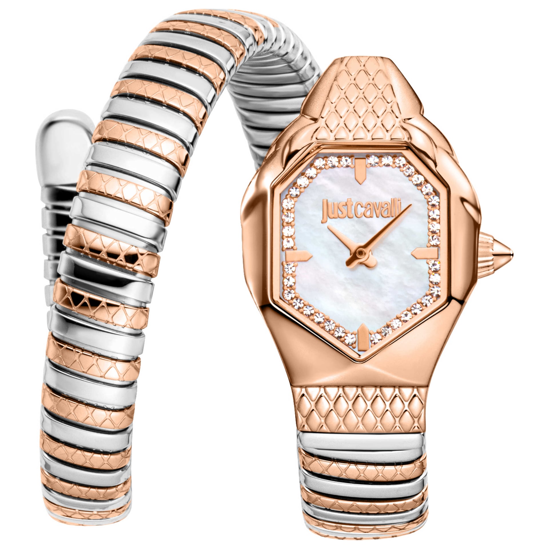 Just Cavalli Women's Watch JC1L369M0075