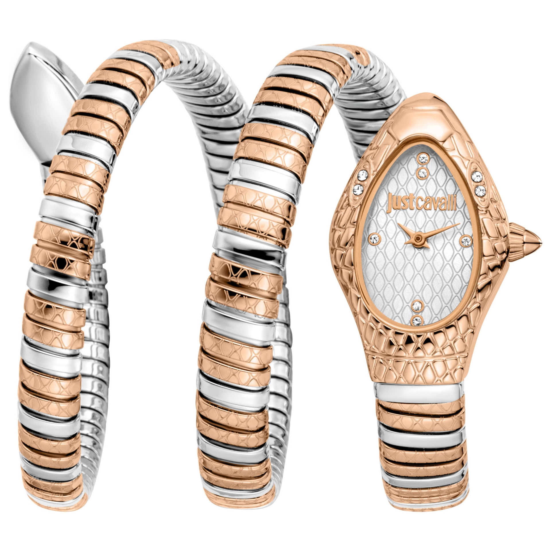 Just Cavalli Women's Watch JC1L374M0065