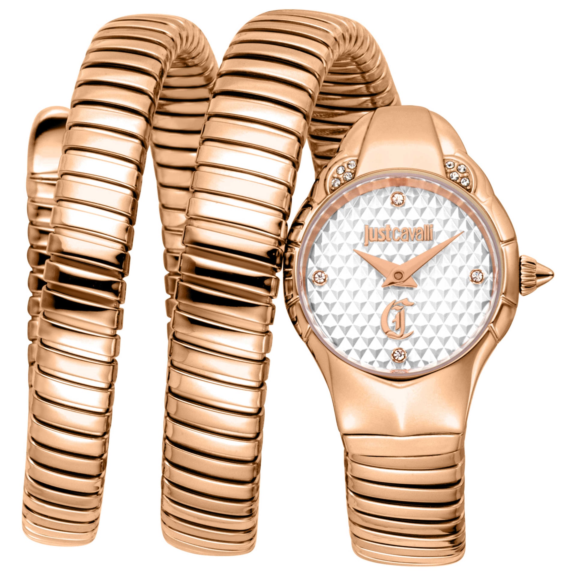 Just Cavalli Women's Watch JC1L393M0035