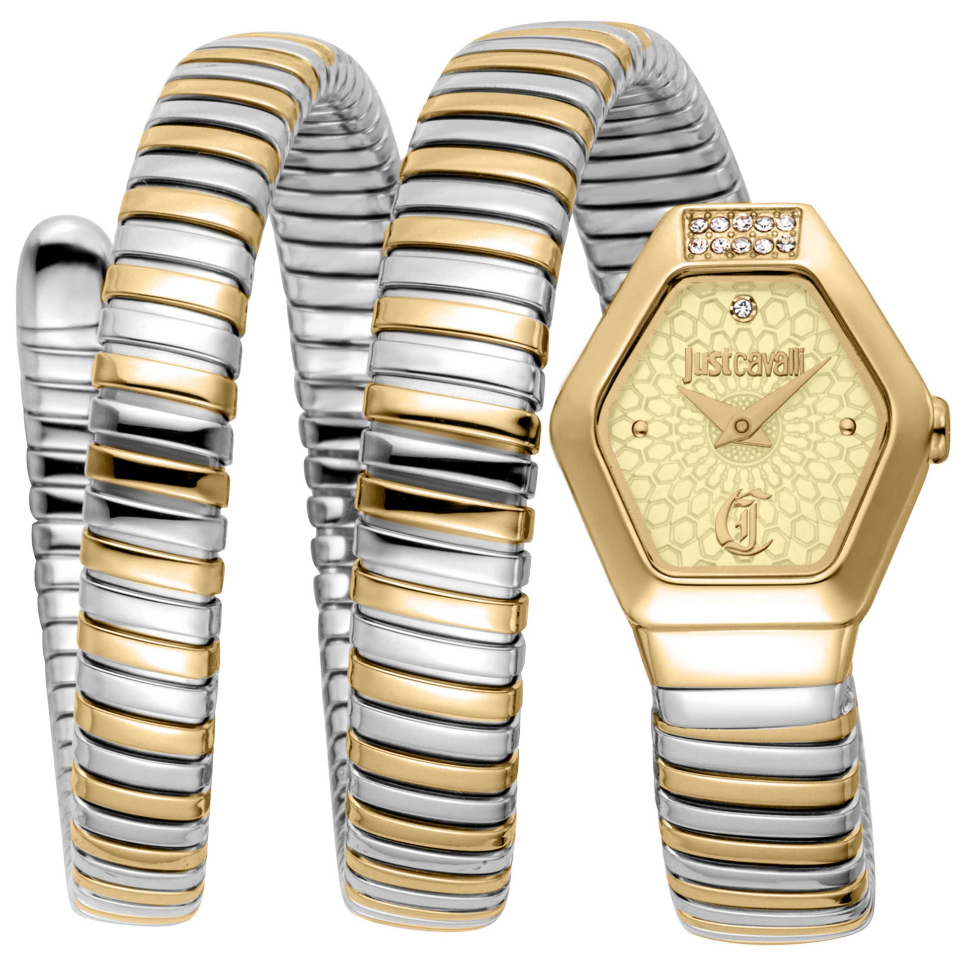 Just Cavalli Women's Watch JC1L395M0055