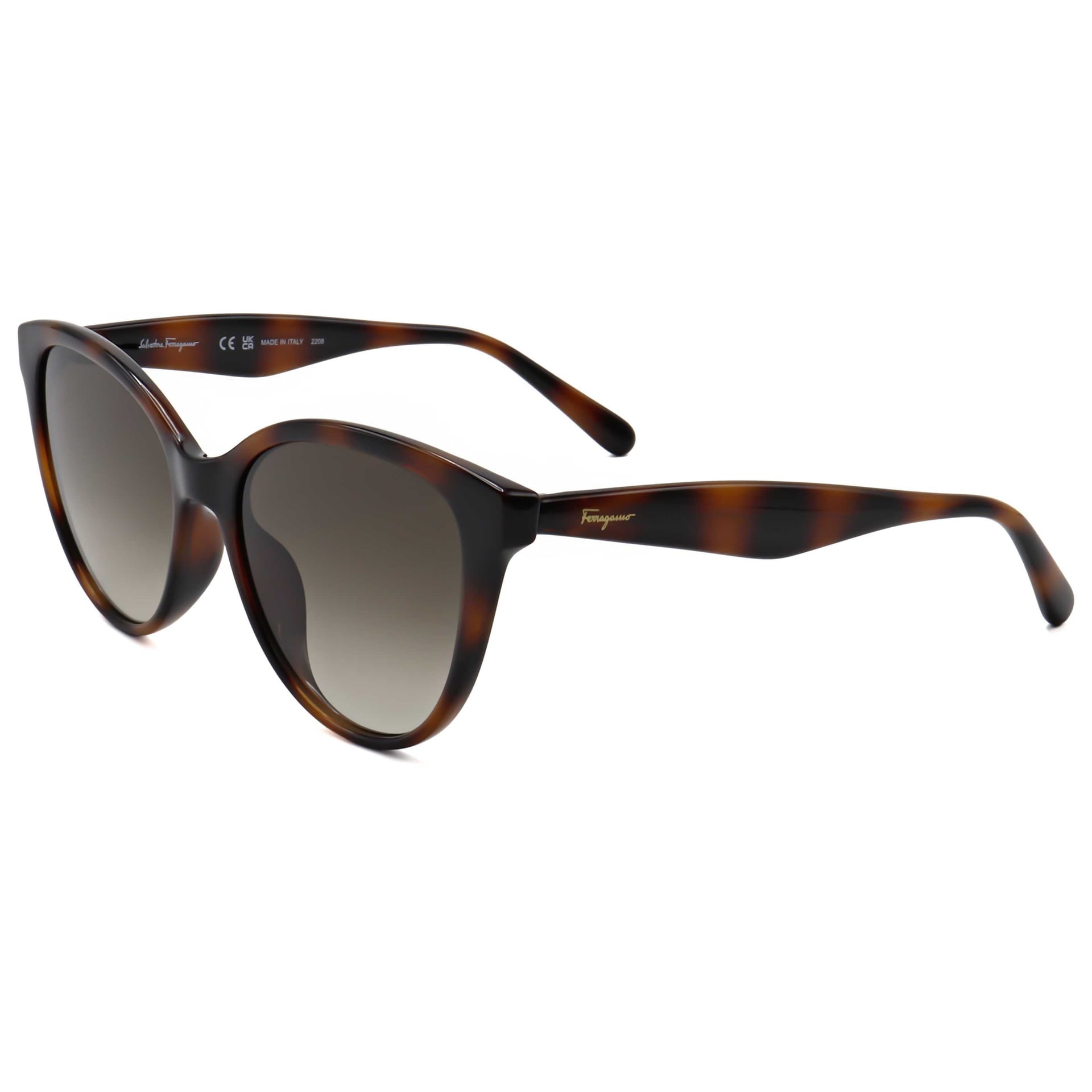 Ferragamo Ferragamo Women's Sunglasses SF1073S-240