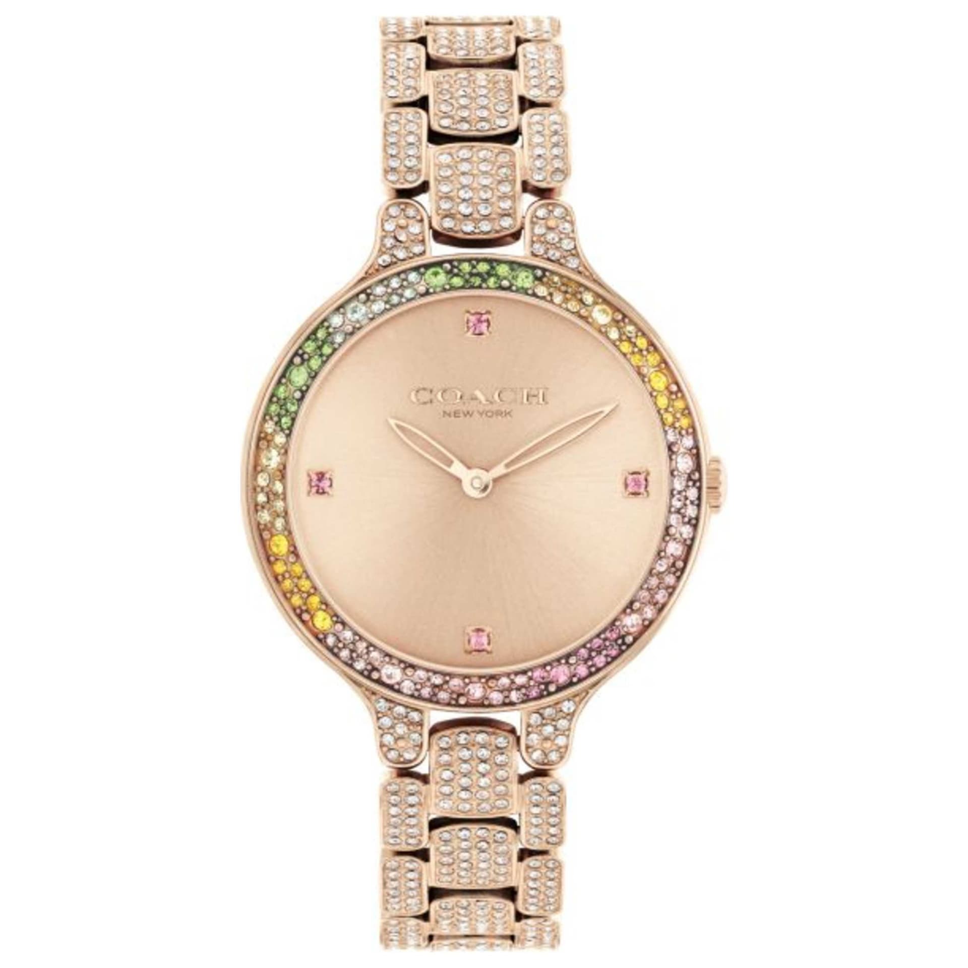Coach Chelsea Women's Watch 14504166